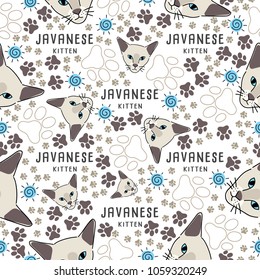 Javanese : Cat breed collection : Seamless Pattern : Vector Illustration

