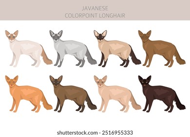 Javanischer Katzenclipart. Colorpoint Langhaar Katzen alle Fell Farben gesetzt.  Alle Katze Rassen Merkmale Infografik. Vektorgrafik