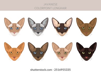 Javanischer Katzenclipart. Colorpoint Langhaar Katzen alle Fell Farben gesetzt.  Alle Katze Rassen Merkmale Infografik. Vektorgrafik