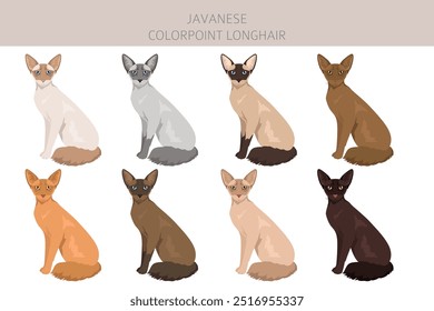 Javanischer Katzenclipart. Colorpoint Langhaar Katzen alle Fell Farben gesetzt.  Alle Katze Rassen Merkmale Infografik. Vektorgrafik