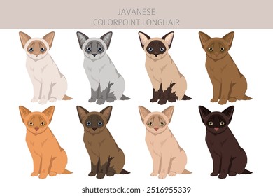 Javanese cat clipart. Colorpoint Longhair cats all coat colors set.  All cat breeds characteristics infographic. Vector illustration