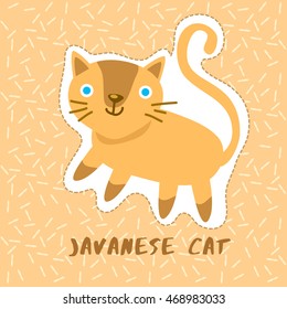 Javanese Cat : Cute Animal Set :  Vector Illustration