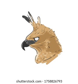 javanese eagle head endemic animal species