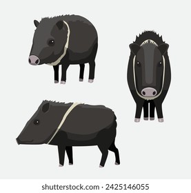 Javelina Pig Collared Peccary Cartoon Vector Illustration