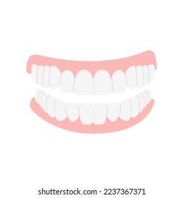 Jaw with teeth icon flat style. Open mouth, dentures. Dentistry, medicine concept. Isolated on white background. Vector illustration