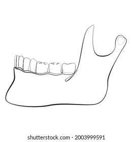 Jaw with teeth one line drawing on white isolated background