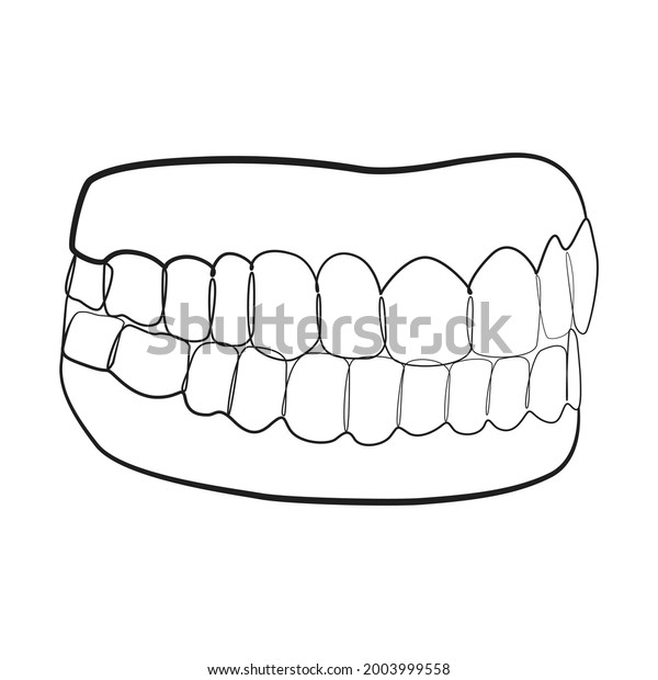 Jaw Teeth One Line Drawing On Stock Vector (Royalty Free) 2003999558 ...