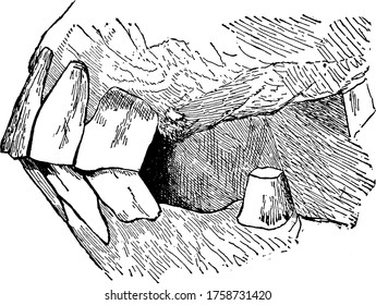 Jaw of young castrated male horse (side view)., vintage line drawing or engraving illustration. 