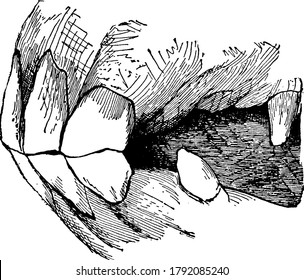 Jaw of young castrated male horse (side view)., vintage line drawing or engraving illustration. 