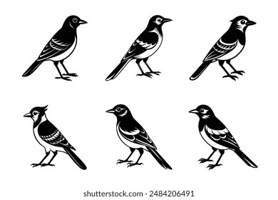 Jay bird black silhouette vector art illustration bundle set