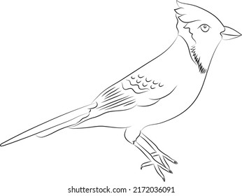 Jay Bird Clip Art, Black And White, Simple Bird Drawing, Kids Drawing, Vector Clipart