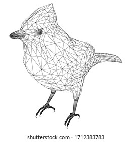 Jay bird polygonal lines illustration. Abstract vector bird on the white background