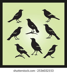Jay bird silhouette set Clipart on a hex color background
