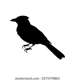 Jay bird silhouette vector illustration design on white background.