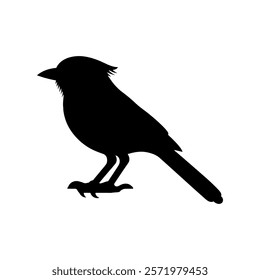 Jay bird silhouette vector illustration design on white background.