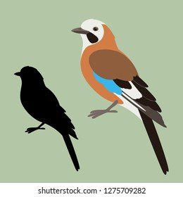 jay bird, vector illustration , flat style ,black  silhouette