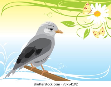 Jay and chamomile with butterflies. Vector