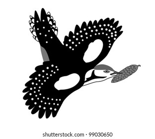 jay drawing on white background, vector illustration