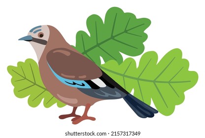 Jay forest bird. Hand drawn vector illustration. Suitable for website, stickers, gift cards, kid’s products.