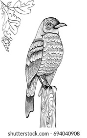 Jay on the log black and white outlines