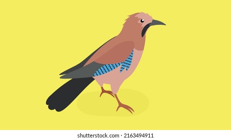 Jay stands on its paws and looks ahead