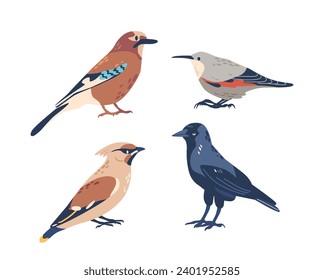 Jay, Waxwing, Crow, and Finch European Winter and Autumn Birds. Their Vibrant Feathers Creating A Mesmerizing Display