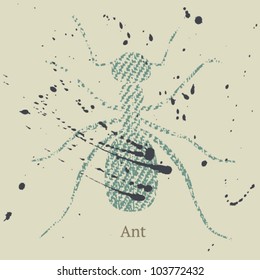 Jeans ant