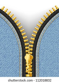jeans texture with zipper vector illustration