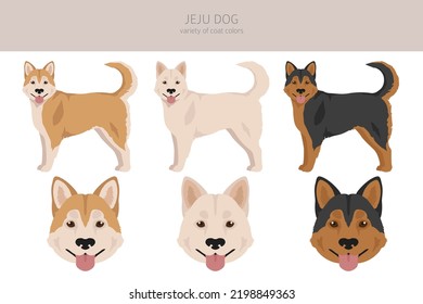 Jeju dog clipart. Different coat colors set.  Vector illustration