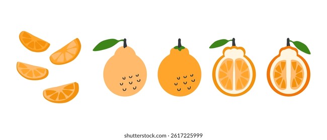 Jeju island hallabong orange singapore korea fruits vector set. Perfect for stickers, poster, label, sale, card. Hand drawn illustration isolated on a white background.


