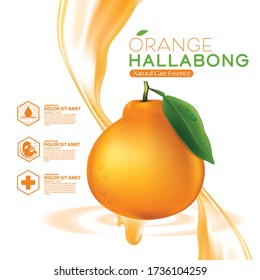 Jeju Island Orange Hallabong Vitamin Serum Moisture Skin Care Cosmetic.