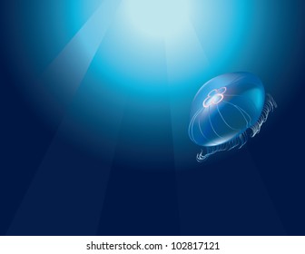 Jelly fish at depth. The vector illustration of a Jelly-fish floating in deep water.