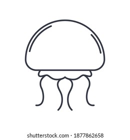 Jelly fish icon, linear isolated illustration, thin line vector, web design sign, outline concept symbol with editable stroke on white background.