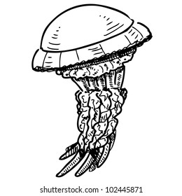 Jelly fish isolated on white background. Hand drawing sketch vector illustration