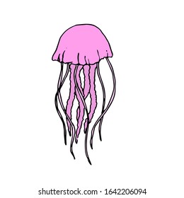 Jelly fish isolated on white bacground. Hand drawn vector illstration