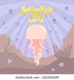 Jelly Fish Life Illustration