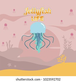 Jelly Fish Life Illustration