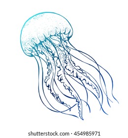 Jelly Fish Line Art Vector Illustration