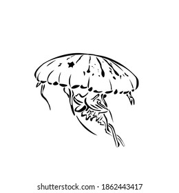 Jelly fish in outline style isolated on white background. Sea animals symbol stock vector illustration