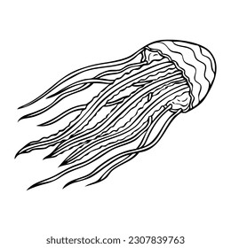 jelly fish outline vector illustration,isolated on white background,top view