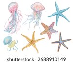 Jelly fish and Star fish hand drawn watercolor isolated on white background