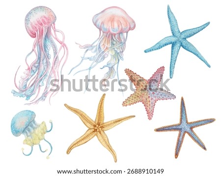 Jelly fish and Star fish hand drawn watercolor isolated on white background