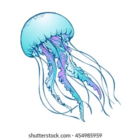 jelly fish vector illustration