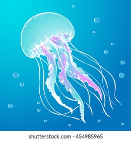 Jelly Fish Vector Illustration