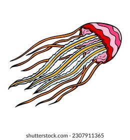jelly fish vector illustration,isolated on white background,top view