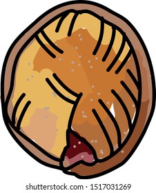 Jelly, illustration, vector on white background.