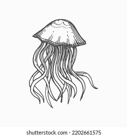 Jellyfish Tattoo Drawings