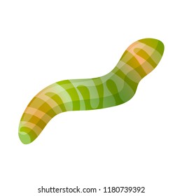 Jelly worm icon. Cartoon of jelly worm vector icon for web design isolated on white background