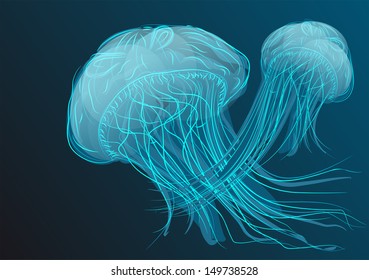 jellyfish