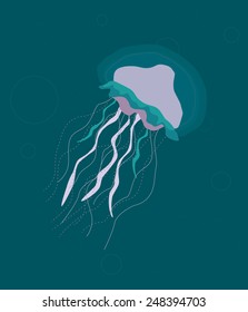 Jellyfish